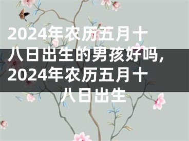 2024年农历五月十八日出生的男孩好吗,2024年农历五月十八日出生
