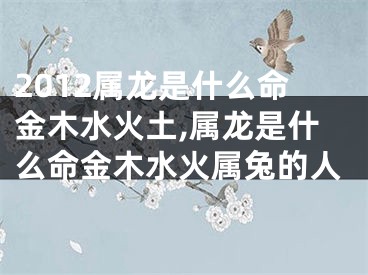 2012属龙是什么命金木水火土,属龙是什么命金木水火属兔的人