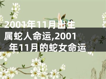 2001年11月出生属蛇人命运,2001年11月的蛇女命运