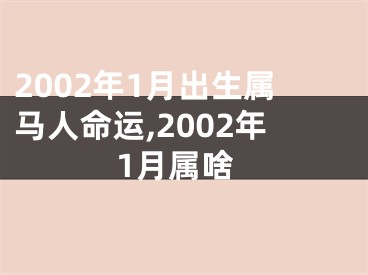2002年1月出生属马人命运,2002年1月属啥