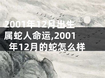 2001年12月出生属蛇人命运,2001年12月的蛇怎么样