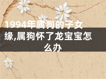 1994年属狗的子女缘,属狗怀了龙宝宝怎么办