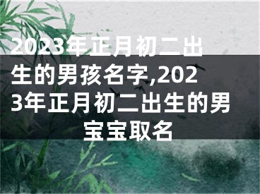 2023年正月初二出生的男孩名字,2023年正月初二出生的男宝宝取名