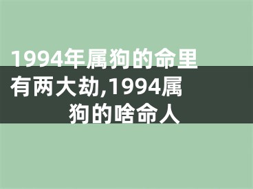 1994年属狗的命里有两大劫,1994属狗的啥命人