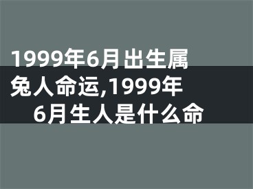 1999年6月出生属兔人命运,1999年6月生人是什么命
