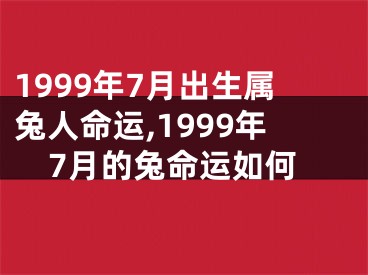 1999年7月出生属兔人命运,1999年7月的兔命运如何
