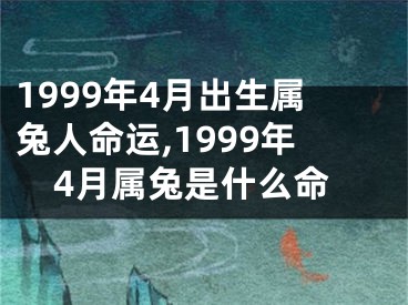 1999年4月出生属兔人命运,1999年4月属兔是什么命