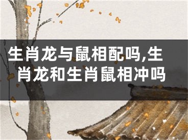 生肖龙与鼠相配吗,生肖龙和生肖鼠相冲吗