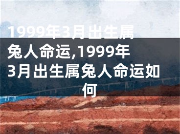 1999年3月出生属兔人命运,1999年3月出生属兔人命运如何