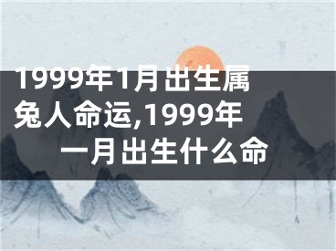 1999年1月出生属兔人命运,1999年一月出生什么命