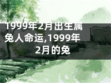 1999年2月出生属兔人命运,1999年2月的兔