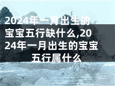 2024年一月出生的宝宝五行缺什么,2024年一月出生的宝宝五行属什么