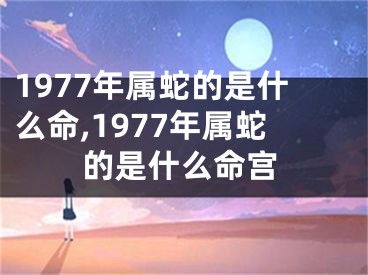 1977年属蛇的是什么命,1977年属蛇的是什么命宫