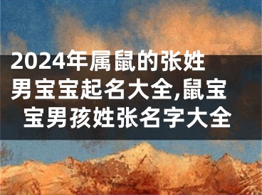 2024年属鼠的张姓男宝宝起名大全,鼠宝宝男孩姓张名字大全