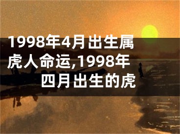 1998年4月出生属虎人命运,1998年四月出生的虎