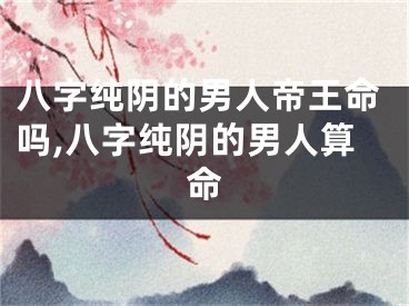 八字纯阴的男人帝王命吗,八字纯阴的男人算命