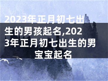2023年正月初七出生的男孩起名,2023年正月初七出生的男宝宝起名