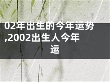 02年出生的今年运势,2002出生人今年运