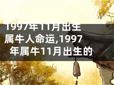 1997年11月出生属牛人命运,1997年属牛11月出生的