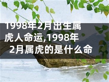1998年2月出生属虎人命运,1998年2月属虎的是什么命