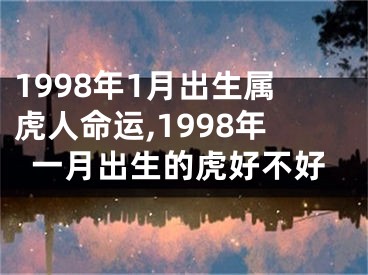 1998年1月出生属虎人命运,1998年一月出生的虎好不好