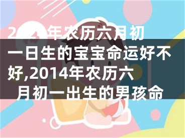 2024年农历六月初一日生的宝宝命运好不好,2014年农历六月初一出生的男孩命