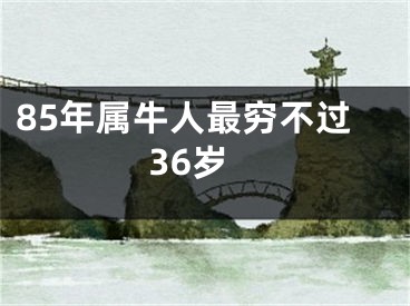 85年属牛人最穷不过36岁