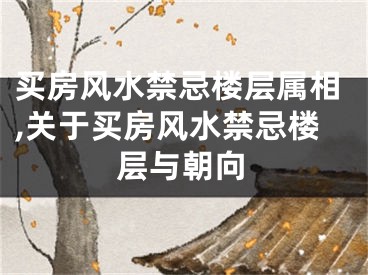买房风水禁忌楼层属相,关于买房风水禁忌楼层与朝向