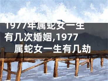 1977年属蛇女一生有几次婚姻,1977属蛇女一生有几劫