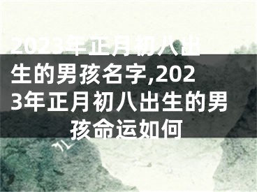 2023年正月初八出生的男孩名字,2023年正月初八出生的男孩命运如何