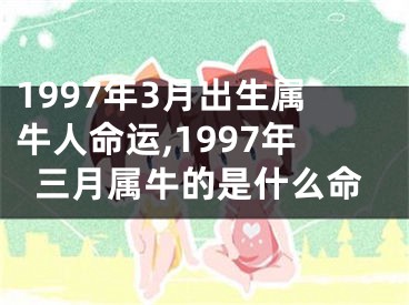 1997年3月出生属牛人命运,1997年三月属牛的是什么命