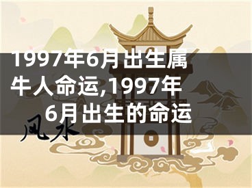 1997年6月出生属牛人命运,1997年6月出生的命运
