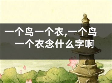 一个鸟一个衣,一个鸟一个衣念什么字啊