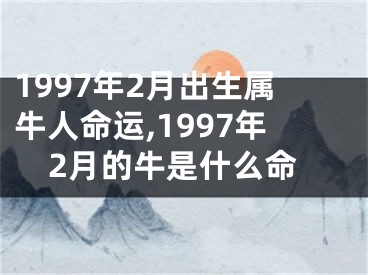 1997年2月出生属牛人命运,1997年2月的牛是什么命