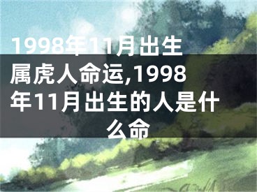 1998年11月出生属虎人命运,1998年11月出生的人是什么命