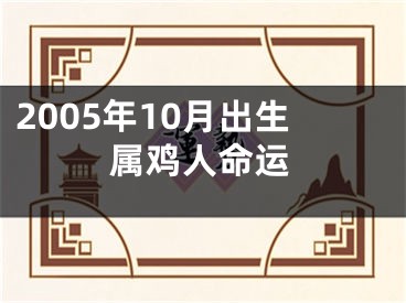 2005年10月出生属鸡人命运