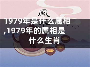 1979年是什么属相,1979年的属相是什么生肖