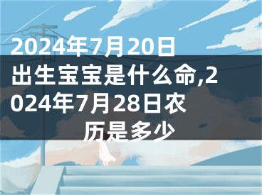 2024年7月20日出生宝宝是什么命,2024年7月28日农历是多少