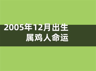 2005年12月出生属鸡人命运