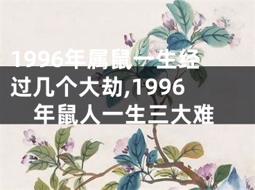 1996年属鼠一生经过几个大劫,1996年鼠人一生三大难