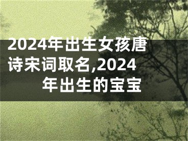 2024年出生女孩唐诗宋词取名,2024年出生的宝宝