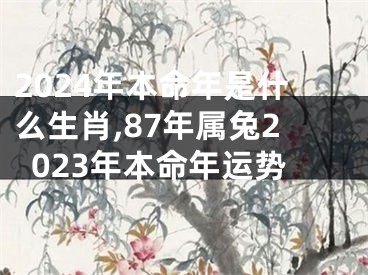 2024年本命年是什么生肖,87年属兔2023年本命年运势