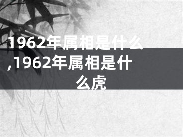 1962年属相是什么,1962年属相是什么虎