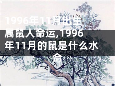 1996年11月出生属鼠人命运,1996年11月的鼠是什么水命