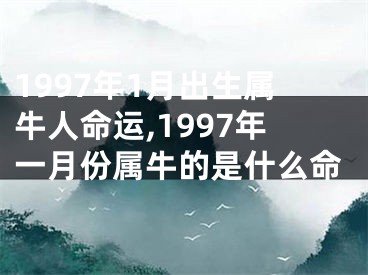 1997年1月出生属牛人命运,1997年一月份属牛的是什么命