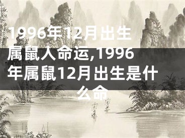 1996年12月出生属鼠人命运,1996年属鼠12月出生是什么命