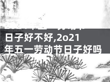 2024年五一劳动节日子好不好,2o21年五一劳动节日子好吗