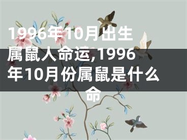 1996年10月出生属鼠人命运,1996年10月份属鼠是什么命