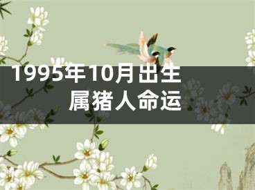 1995年10月出生属猪人命运