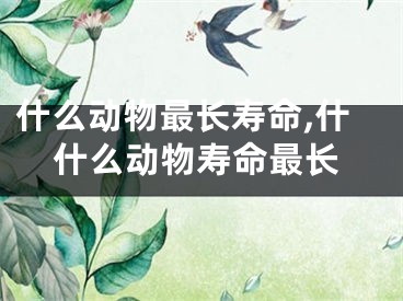 什么动物最长寿命,什什么动物寿命最长